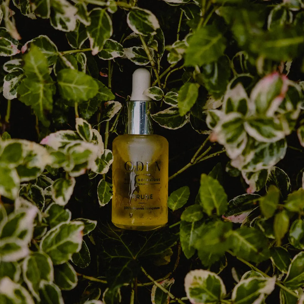 Slyvų Veido Aliejus – Sausai Odai 30ml